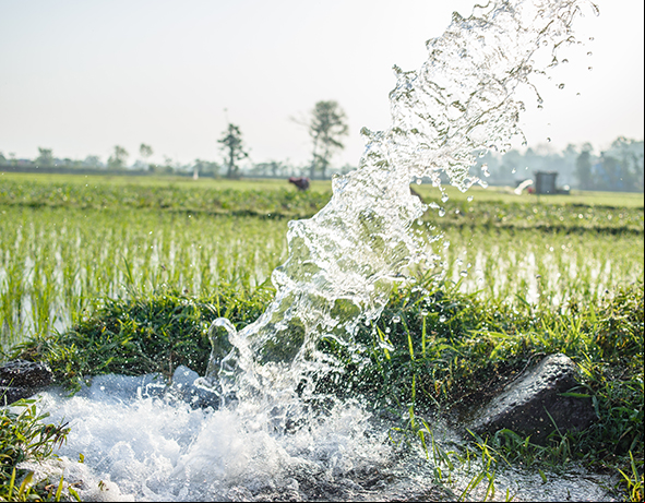 water splashing in a field