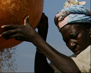 Why we need to expand our crop menu