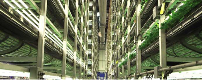food systems in floors